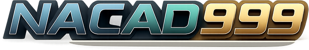 nagad999 logo